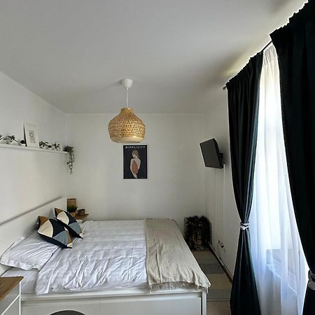 Zen Studio Brasov Ngoại thất bức ảnh