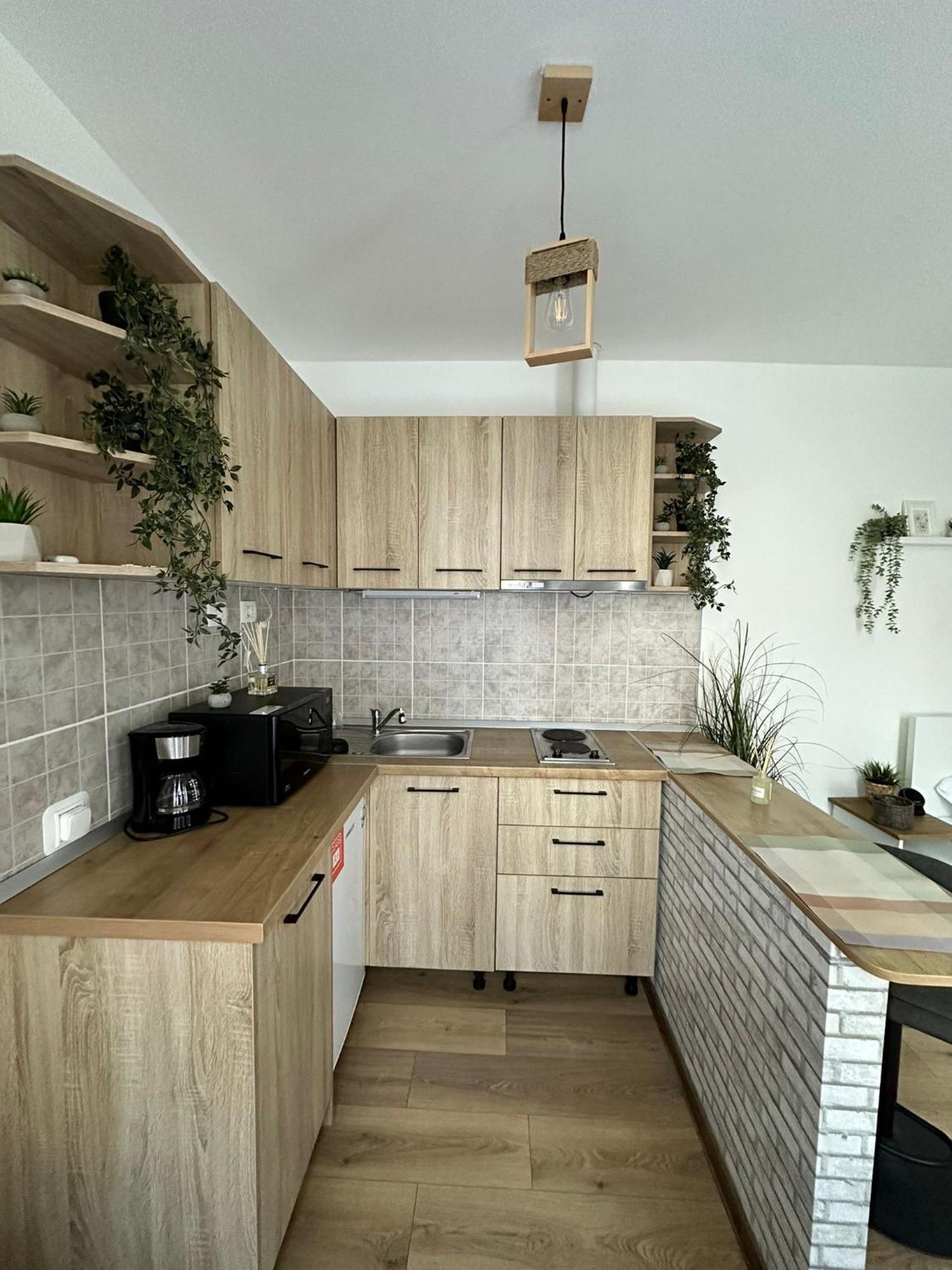 Zen Studio Brasov Ngoại thất bức ảnh